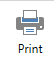 print_icon